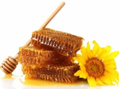 蜂蜜治疗家畜化脓性创伤疗效好